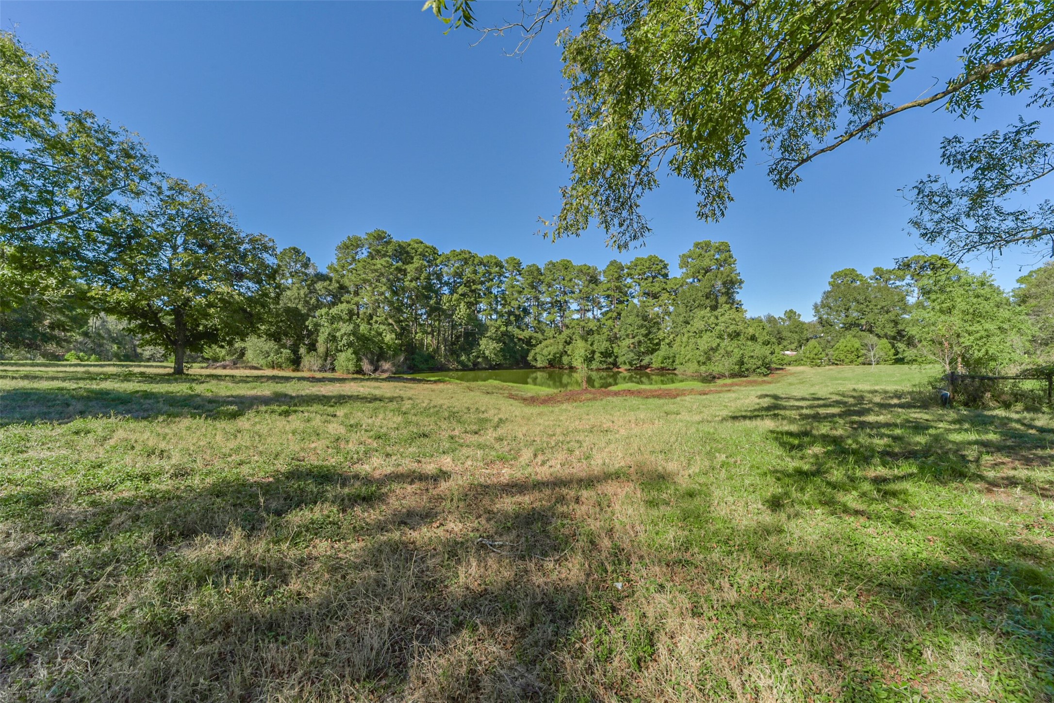 140 Little Loop Road New Waverly, TX 77358 - Photo 9 of 26 a view of outdoor space with deck and yard