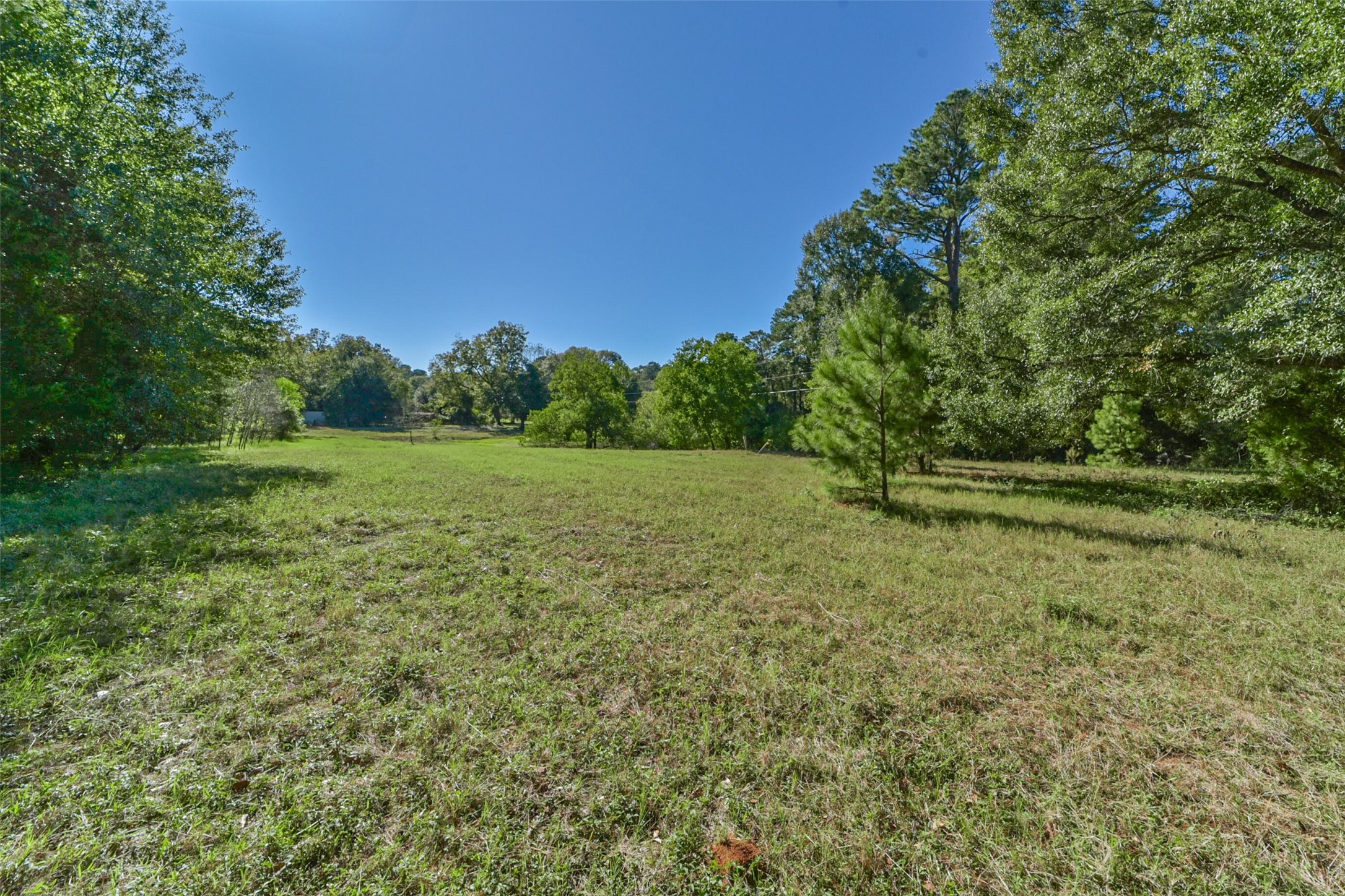 140 Little Loop Road New Waverly, TX 77358 - Photo 10 of 26 a view of outdoor space with deck and yard