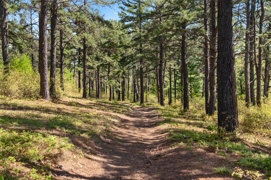 78 Northeast Road Waterboro, ME 04087 - Photo 26 of 32 DSC01205