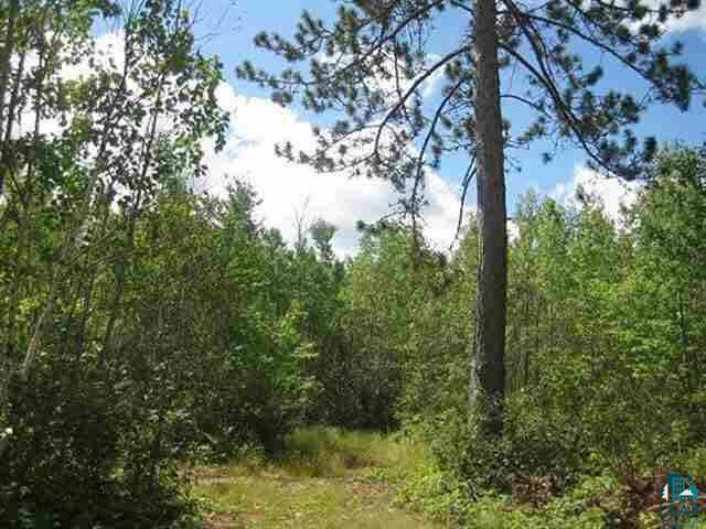 -- West Bear Island Lake Road Babbitt, MN 55706 - Photo 1 of 6