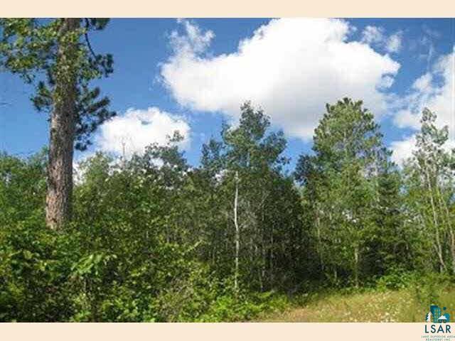 -- West Bear Island Lake Road Babbitt, MN 55706 - Photo 4 of 6