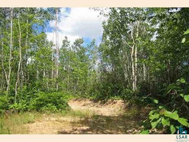-- West Bear Island Lake Road Babbitt, MN 55706 - Photo 5 of 6
