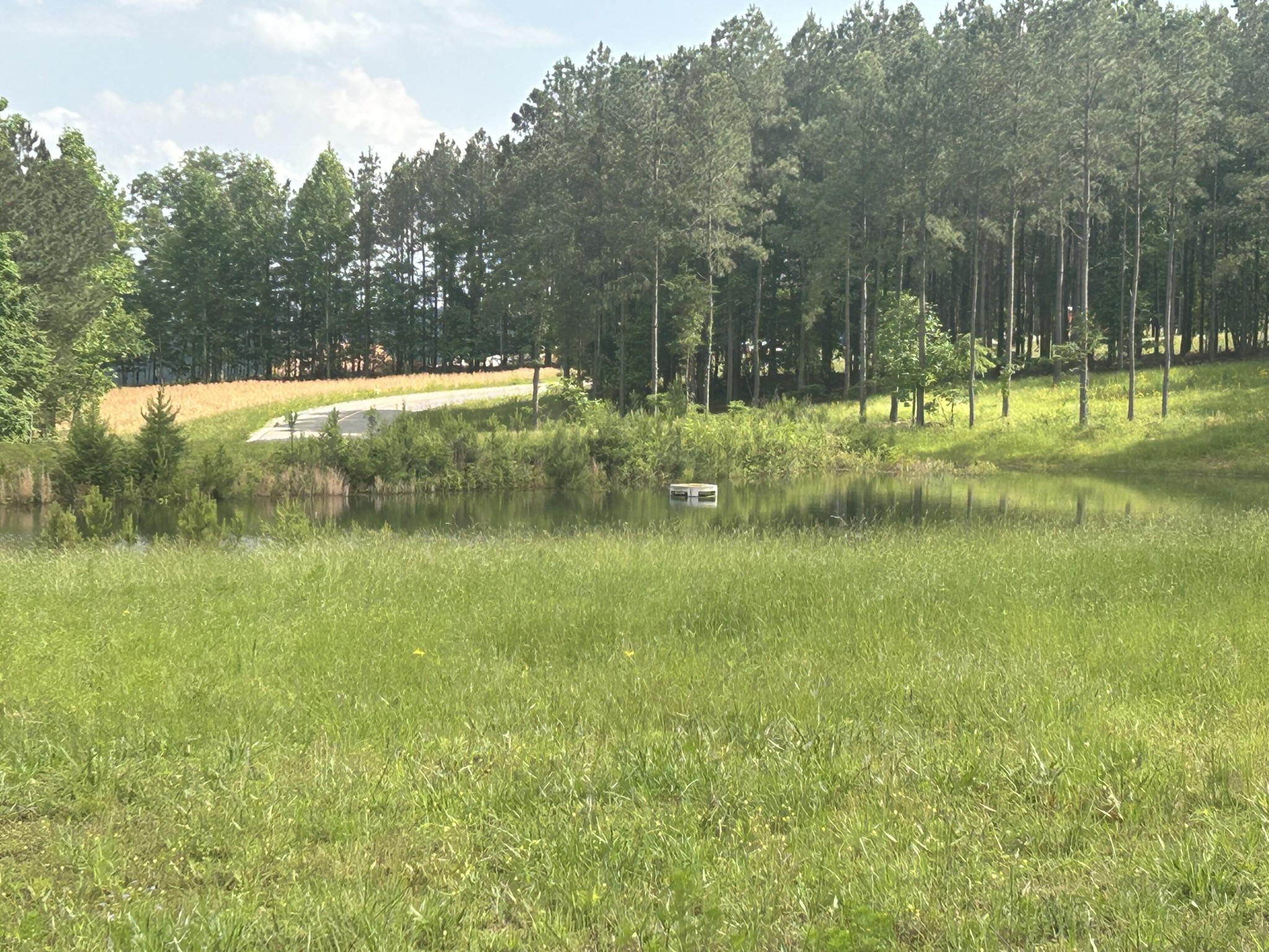 350 Crockett Loop Jasper, TN 37347 - Photo 15 of 55 a view of a lake with houses