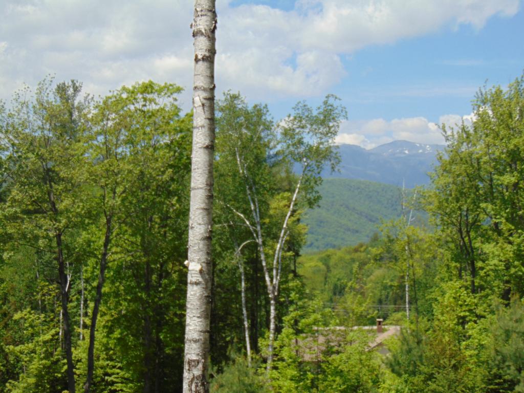 Lot 3 Sarah Hill Road Jackson, NH 03846 - Photo 2 of 12