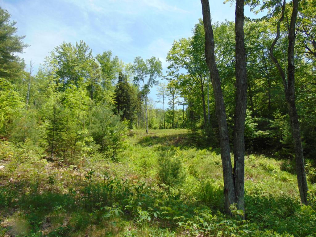 Lot 3 Sarah Hill Road Jackson, NH 03846 - Photo 12 of 12