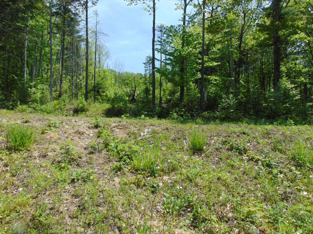 Lot 3 Sarah Hill Road Jackson, NH 03846 - Photo 7 of 12