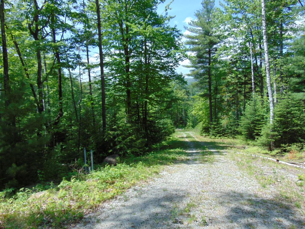 Lot 3 Sarah Hill Road Jackson, NH 03846 - Photo 9 of 12