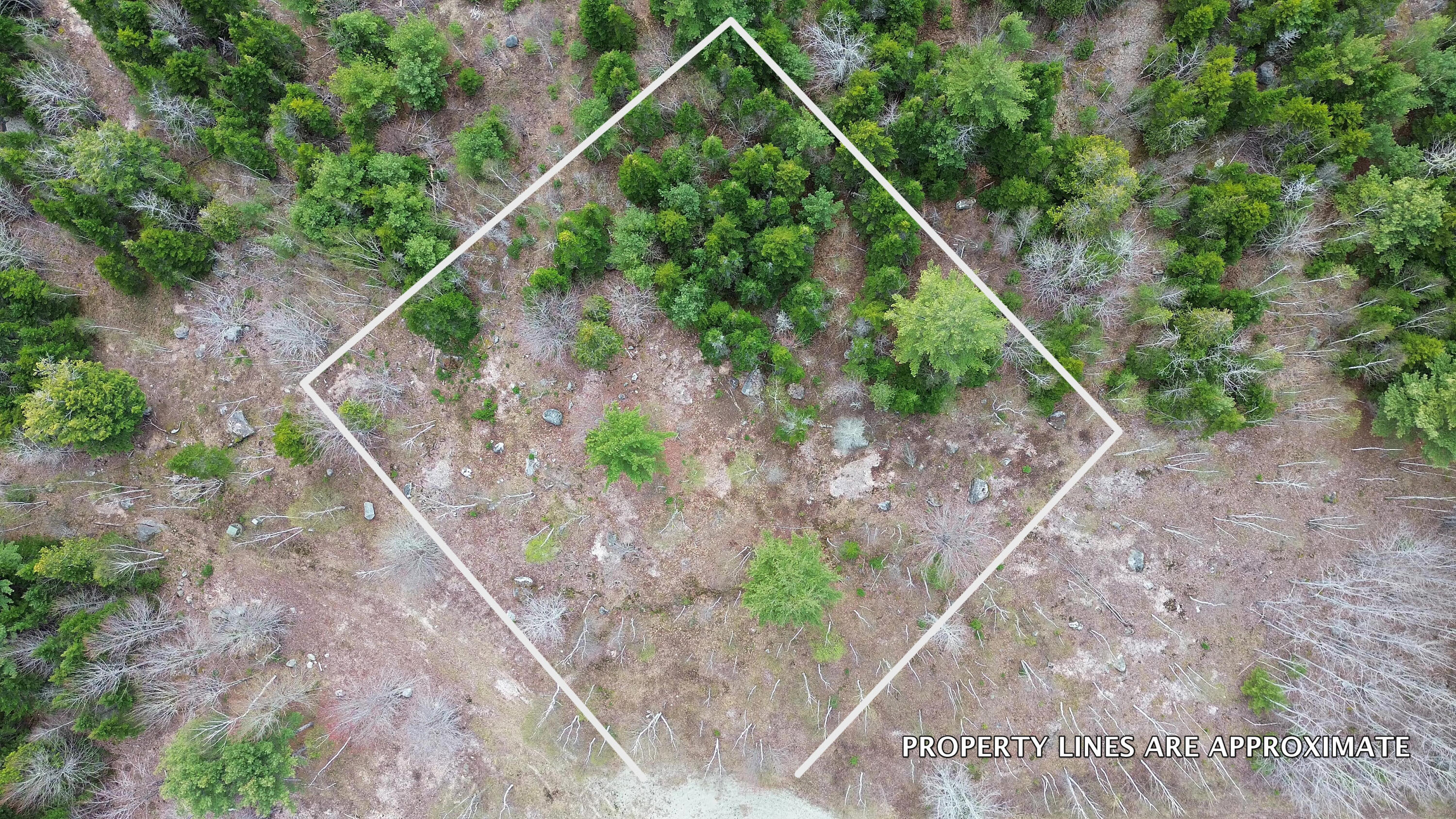 Lot 16 Bailey Mountain Road Franklin, ME 04634 - Photo 2 of 9 LOT16