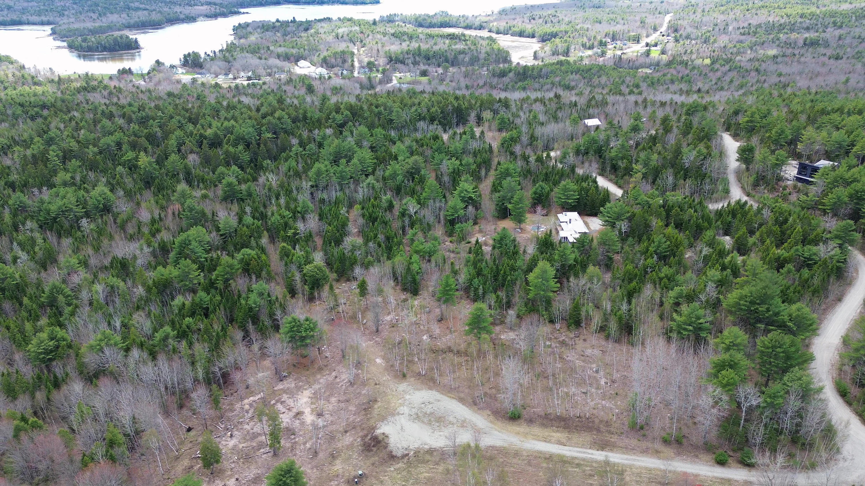Lot 16 Bailey Mountain Road Franklin, ME 04634 - Photo 6 of 9 LOT16