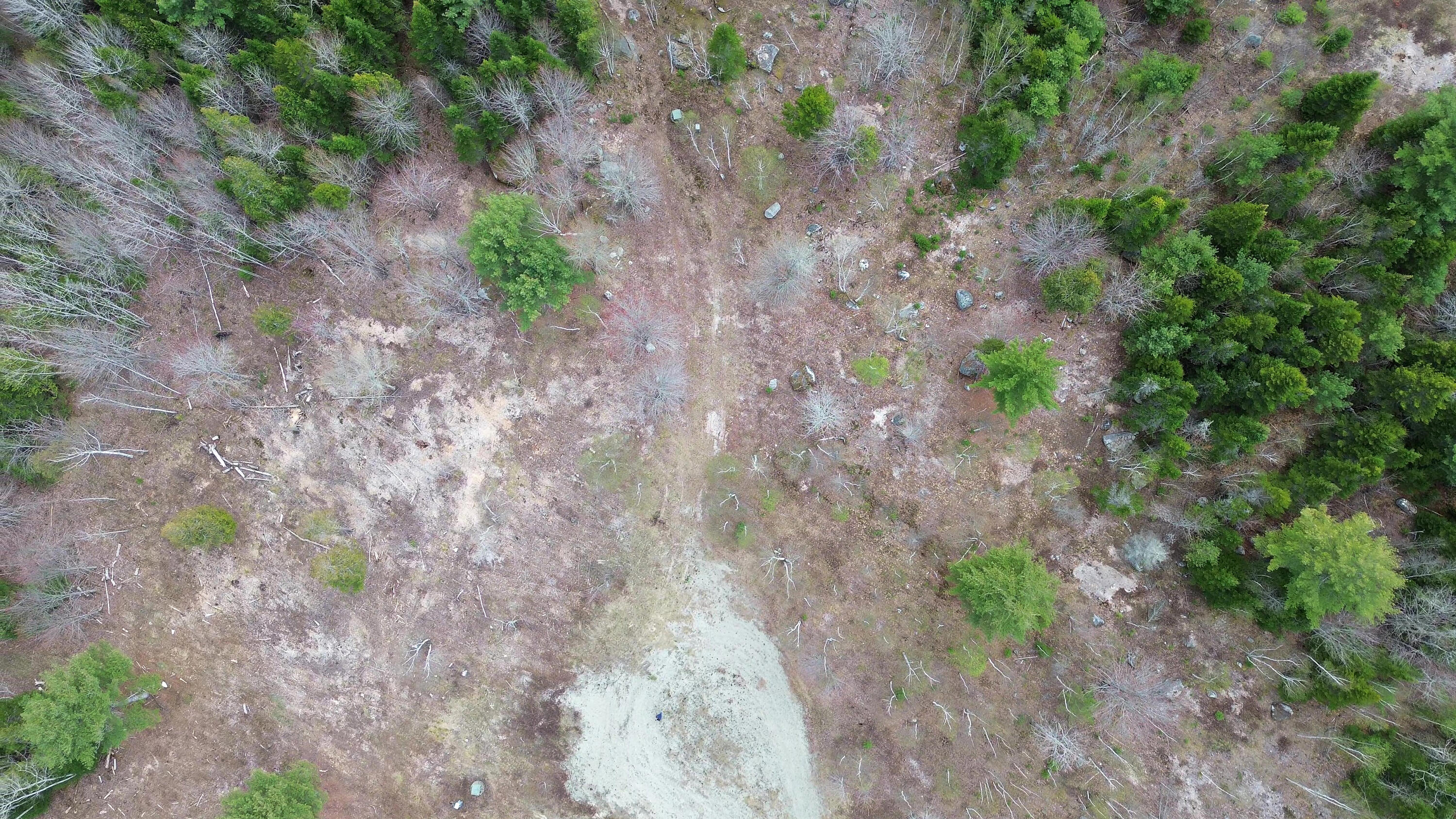 Lot 16 Bailey Mountain Road Franklin, ME 04634 - Photo 7 of 9 LOT 16