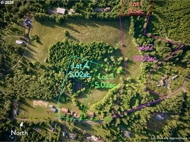 a view of a garden with a lake