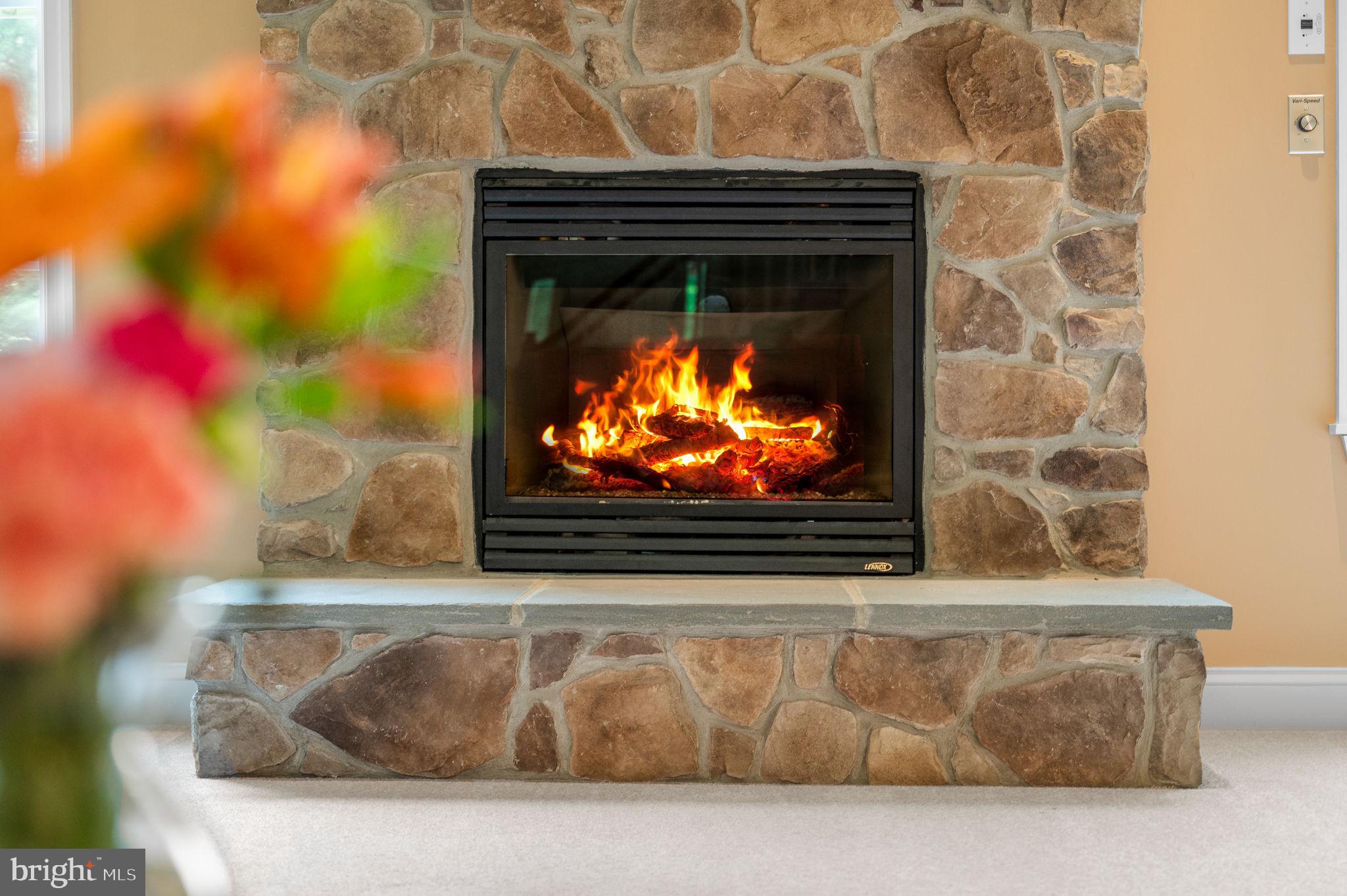 2715 Chestnut Hill Road Pottstown, PA 19465 - Photo 14 of 41 Propane Fireplace