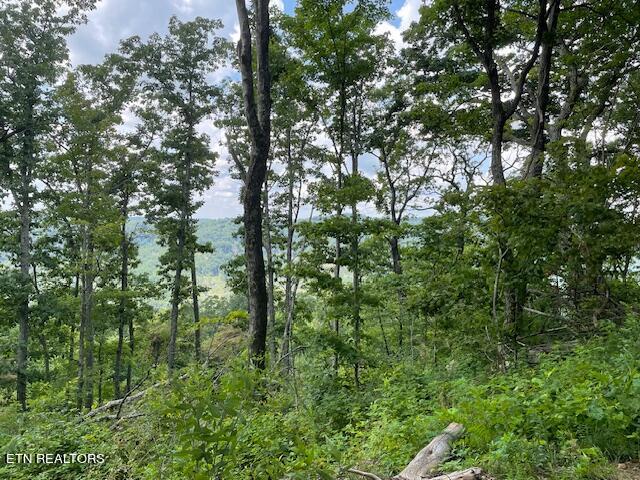 Buffalo Rd/stanley Creek Oneida, TN 37841 - Photo 1 of 4 PHOTO 3 SC