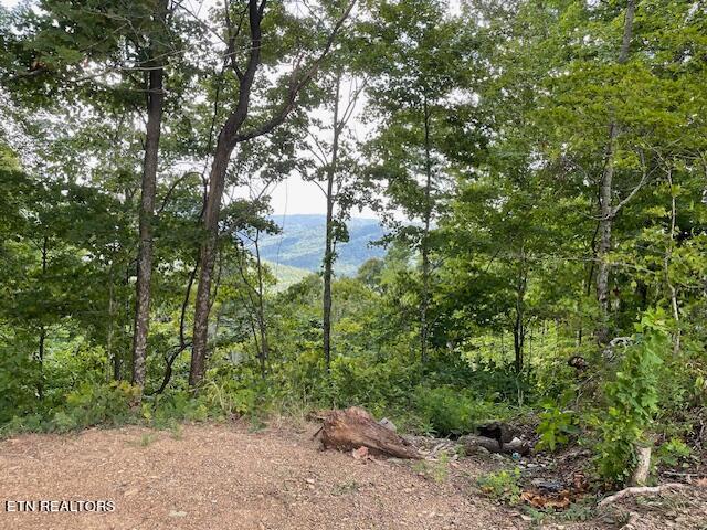 Buffalo Rd/stanley Creek Oneida, TN 37841 - Photo 2 of 4 PHOTO 2 SC