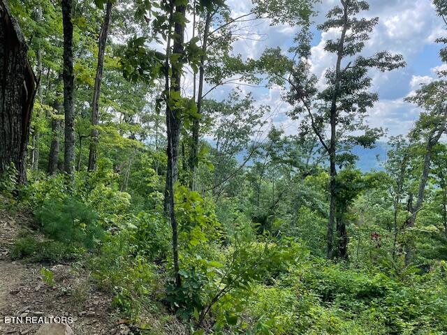 Buffalo Rd/stanley Creek Oneida, TN 37841 - Photo 3 of 4 PHOTO 1 SC