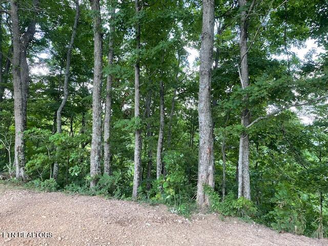 Buffalo Rd/stanley Creek Oneida, TN 37841 - Photo 4 of 4 PHOT 4 SC