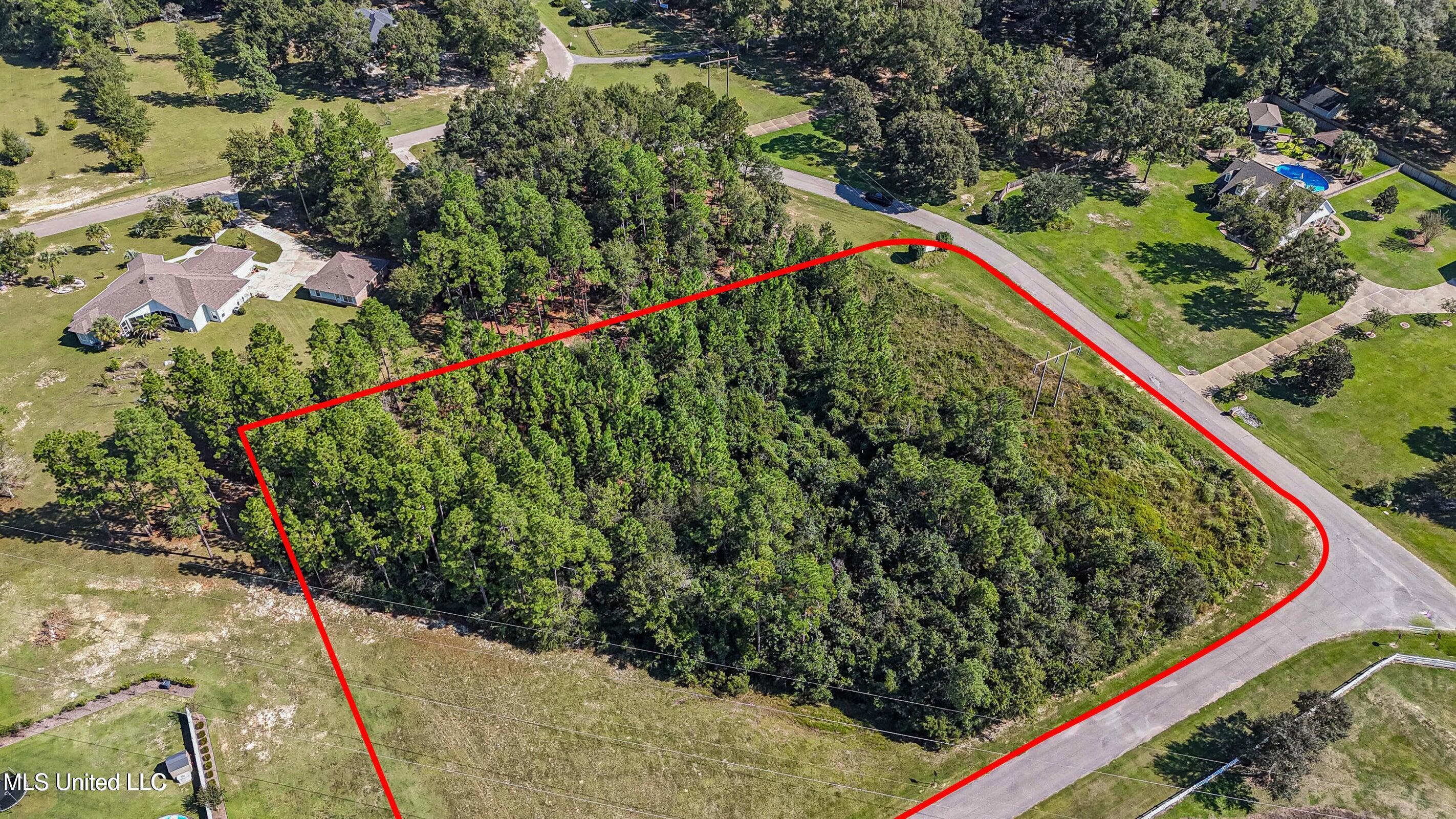 20241007142907523436000000-o