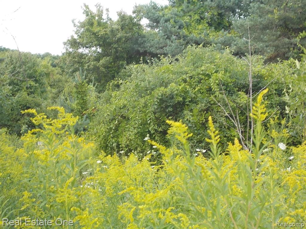 0 North Lake George Road Oakland, MI 48363 - Photo 44 of 55
