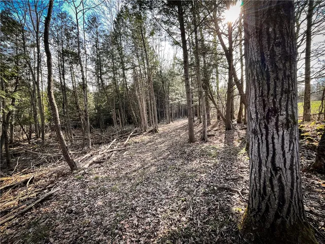 $299,000 | 270 E Road, Heuvelton, NY 13654