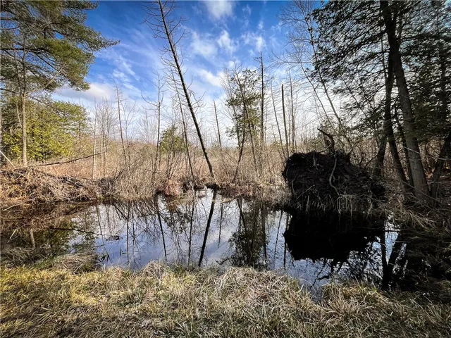 $299,000 | 270 E Road, Heuvelton, NY 13654