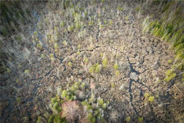 $299,000 | 270 E Road, Heuvelton, NY 13654