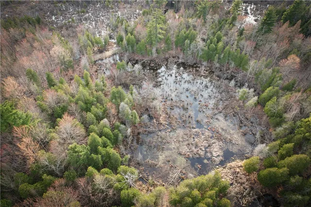 $299,000 | 270 E Road, Heuvelton, NY 13654