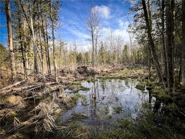 $299,000 | 270 E Road, Heuvelton, NY 13654