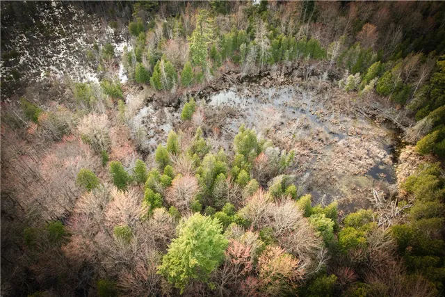 $299,000 | 270 E Road, Heuvelton, NY 13654