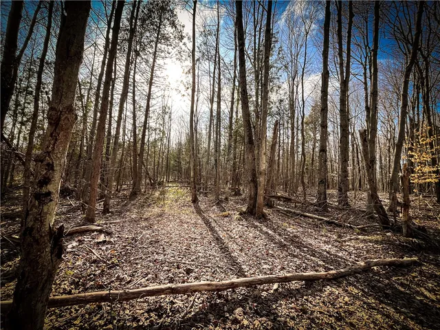 $299,000 | 270 E Road, Heuvelton, NY 13654