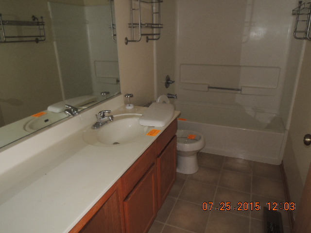 315 Reston Circle Romeoville, IL 60446 - Photo 12 of 14 a bathroom with a sink a toilet and shower