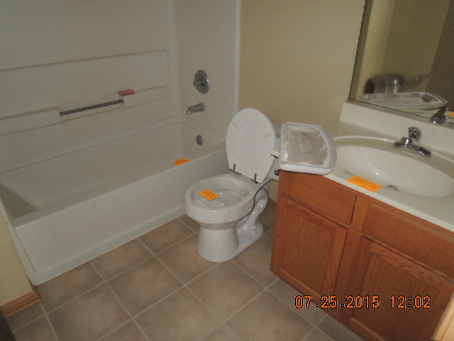 315 Reston Circle Romeoville, IL 60446 - Photo 9 of 14 a bathroom with a sink and toilet