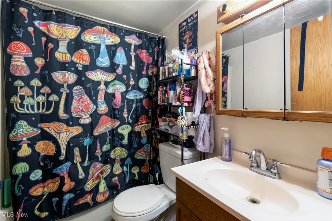 794 Benton Road Salem, OH 44460 - Photo 16 of 44 Bathroom featuring toilet, vanity, and a shower with shower curtain