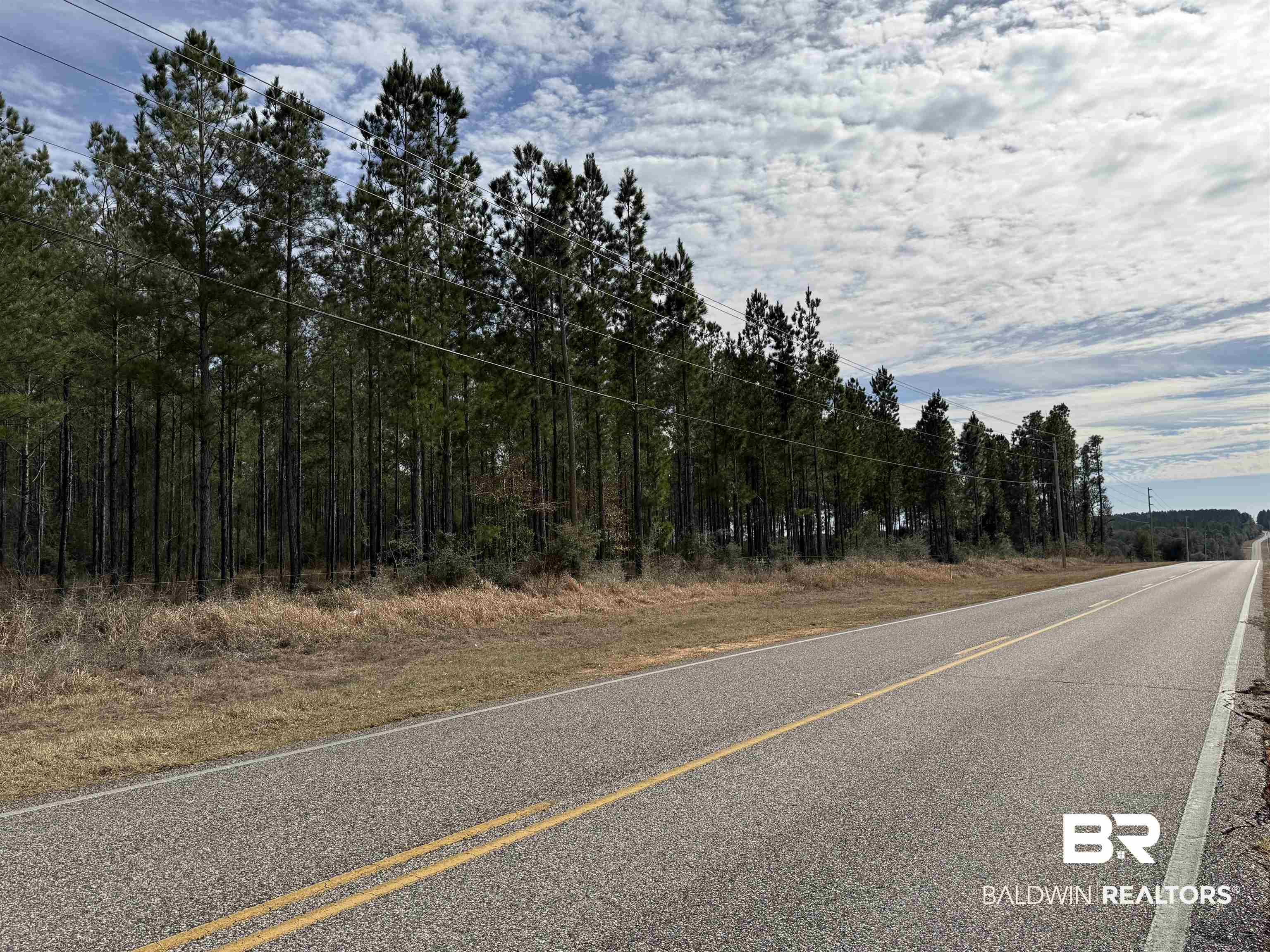 0 Cowpen Creek Road Robertsdale, AL 36567 - Photo 6 of 7