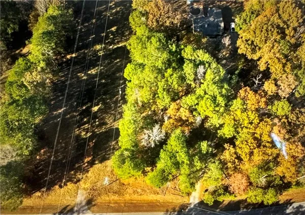 a view of a tree