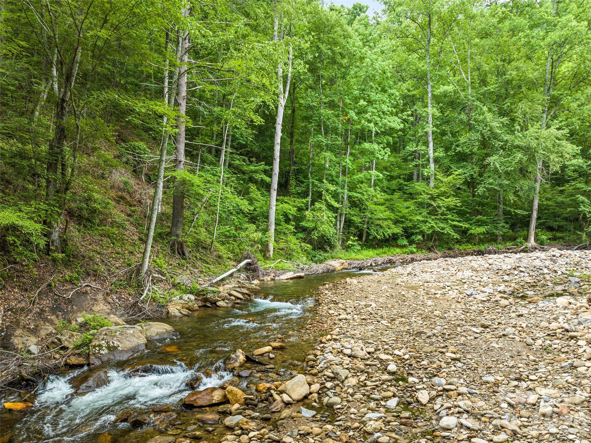 449 Little East Fork Road Canton, NC 28716 - Photo 9 of 40