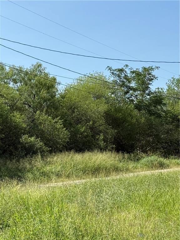 Tba 2 North 2nd Street Alice, TX 78342 - Photo 1 of 1