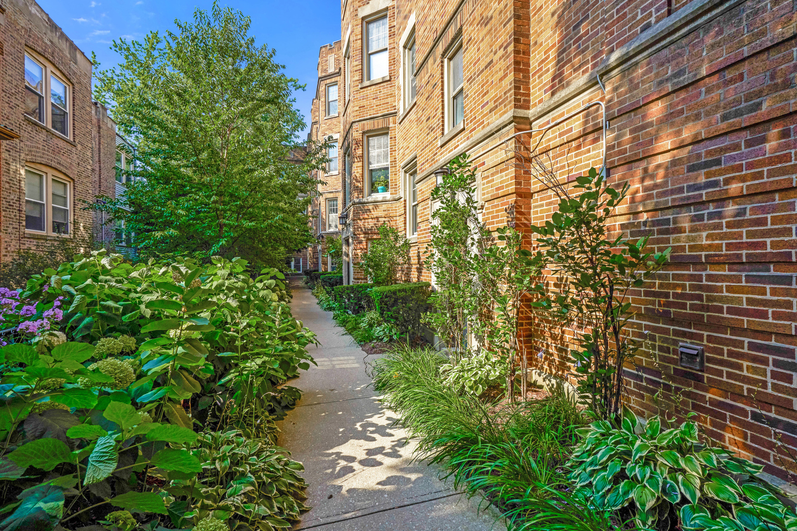 2018 West Greenleaf Avenue, Unit 1F Chicago, IL 60645 - Photo 3 of 12 a view of a pathway both side of house