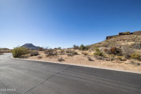 a view of a dry yard with wooden fence