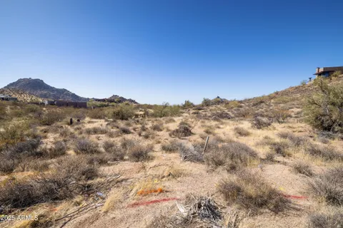 a view of a large mountain with a tree in the background