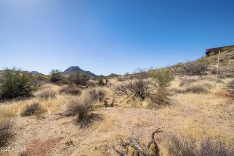 a view of a dry field with mountains in the background