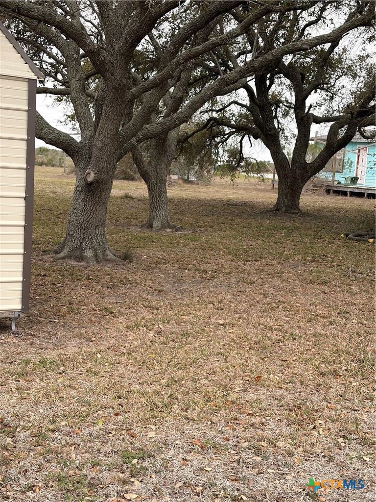 14 Pelican Point Avenue Port Lavaca, TX 77979 - Photo 3 of 9 a view of tree in front of a yard with large tree