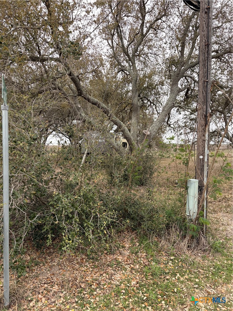 14 Pelican Point Avenue Port Lavaca, TX 77979 - Photo 5 of 9 a view of a forest with large trees