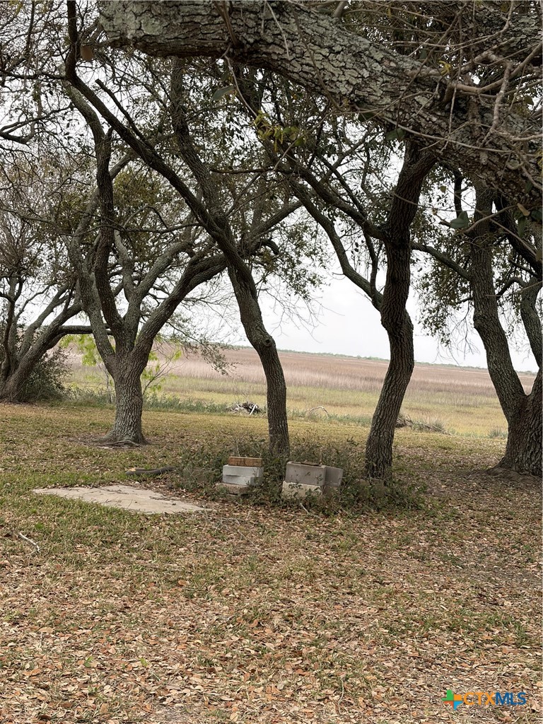 14 Pelican Point Avenue Port Lavaca, TX 77979 - Photo 9 of 9 a view of outdoor space and yard