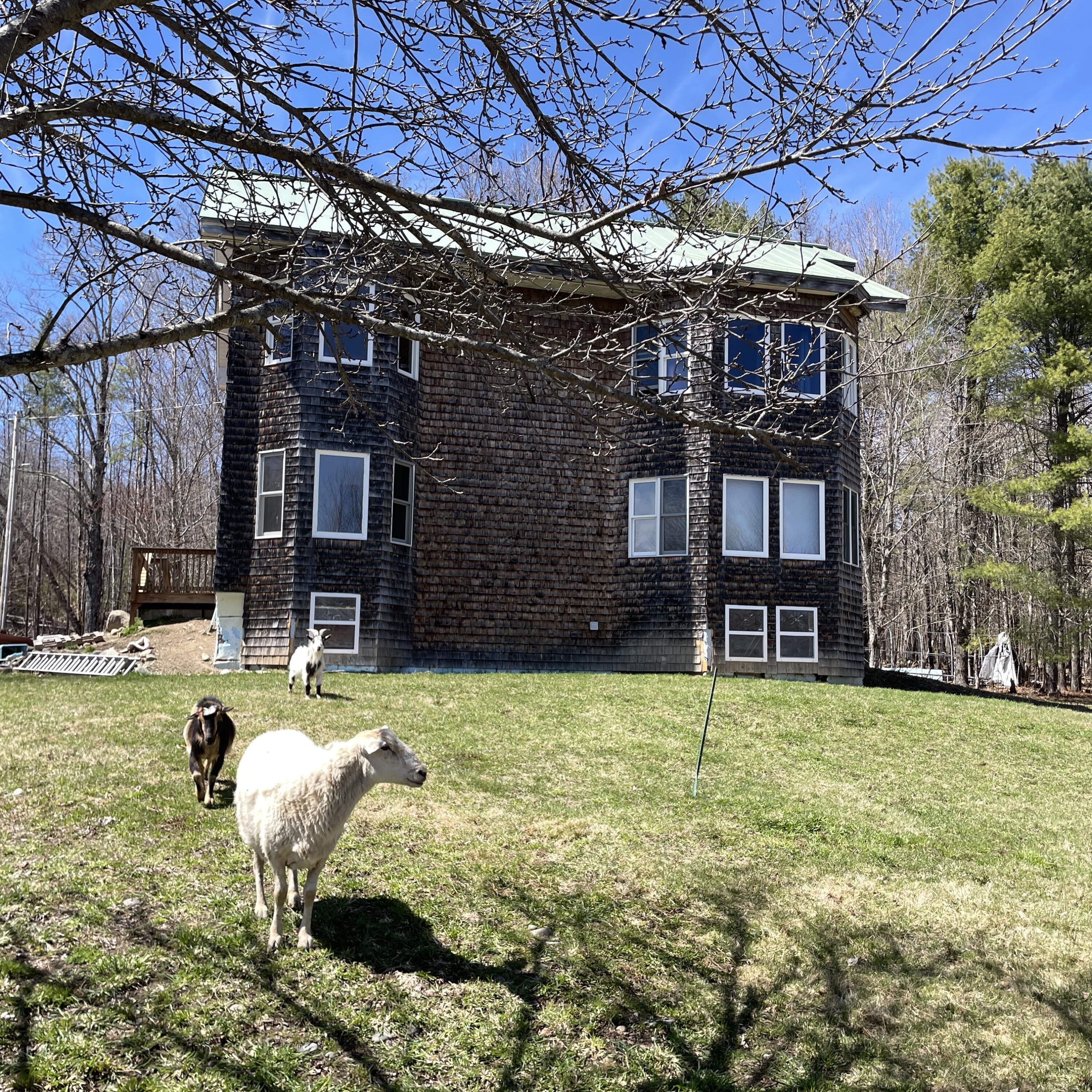 20 Bean Hill Road Harmony, ME 04942 - Photo 31 of 51 IMG_4749 - Copy