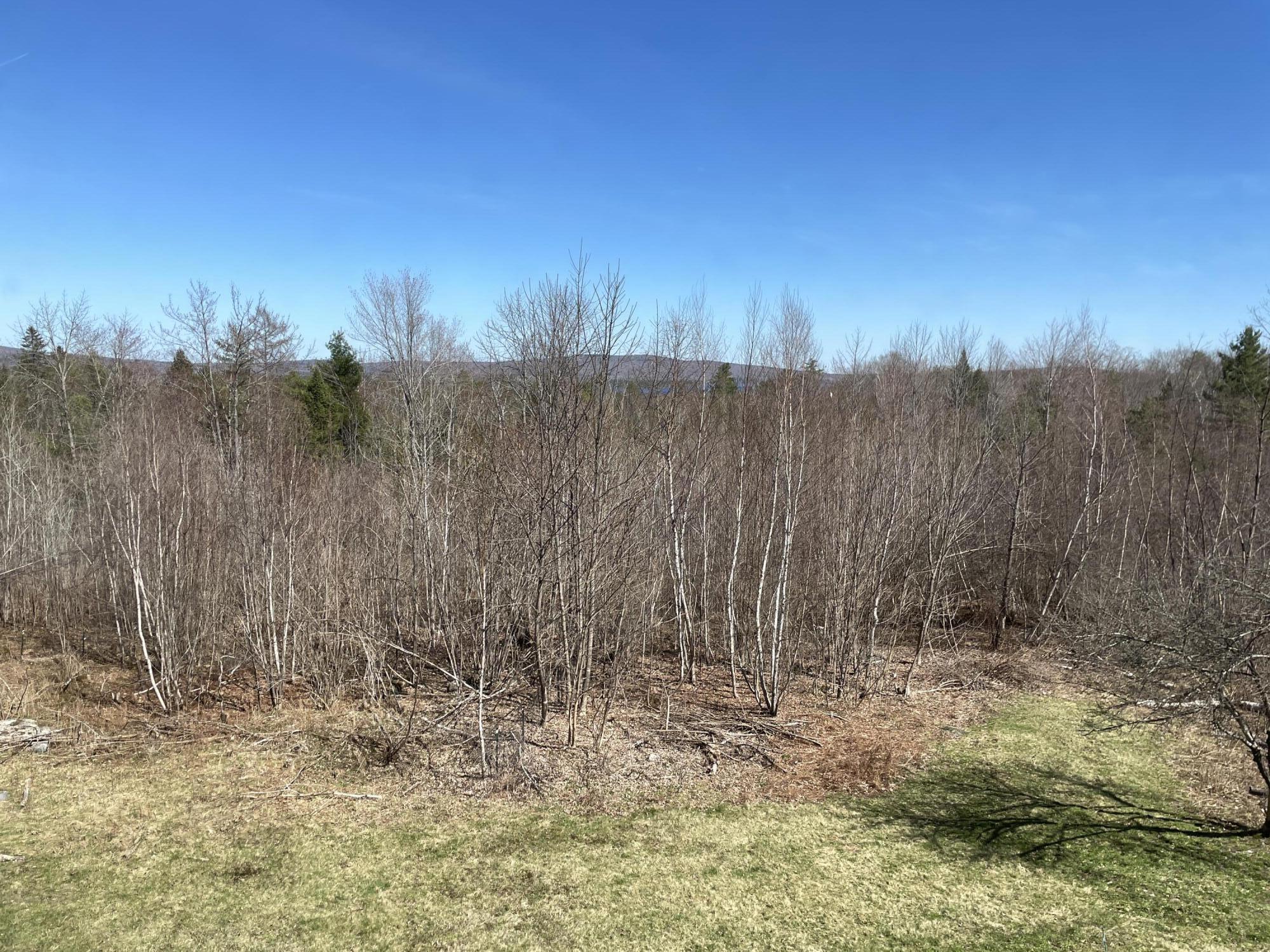 20 Bean Hill Road Harmony, ME 04942 - Photo 39 of 51 IMG_4796 - Copy