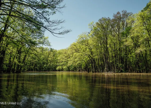 $775,000 | 176 County Road, Sidon, MS 38954