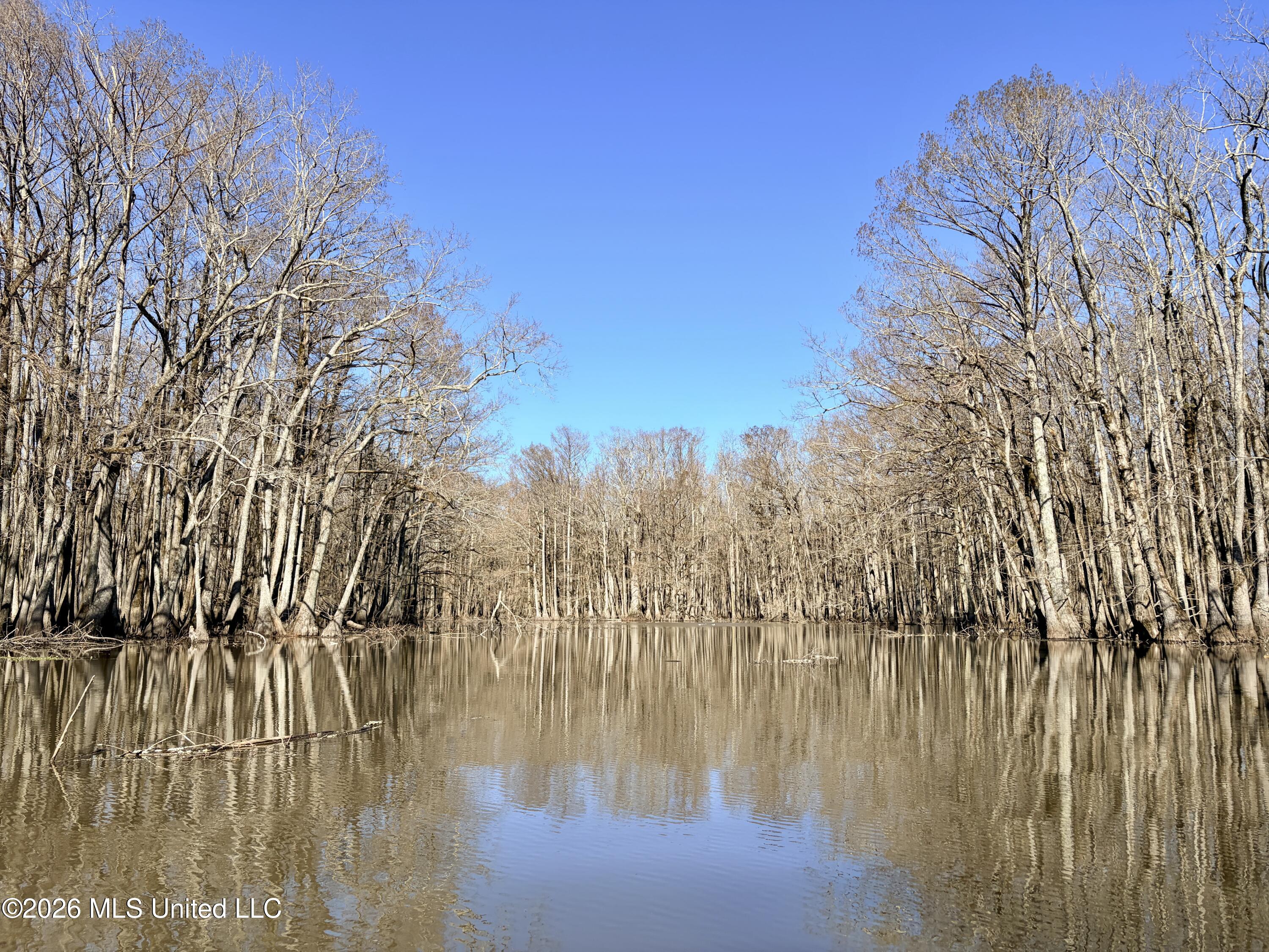Photo Feb 06 2026, 2 04 46 PM