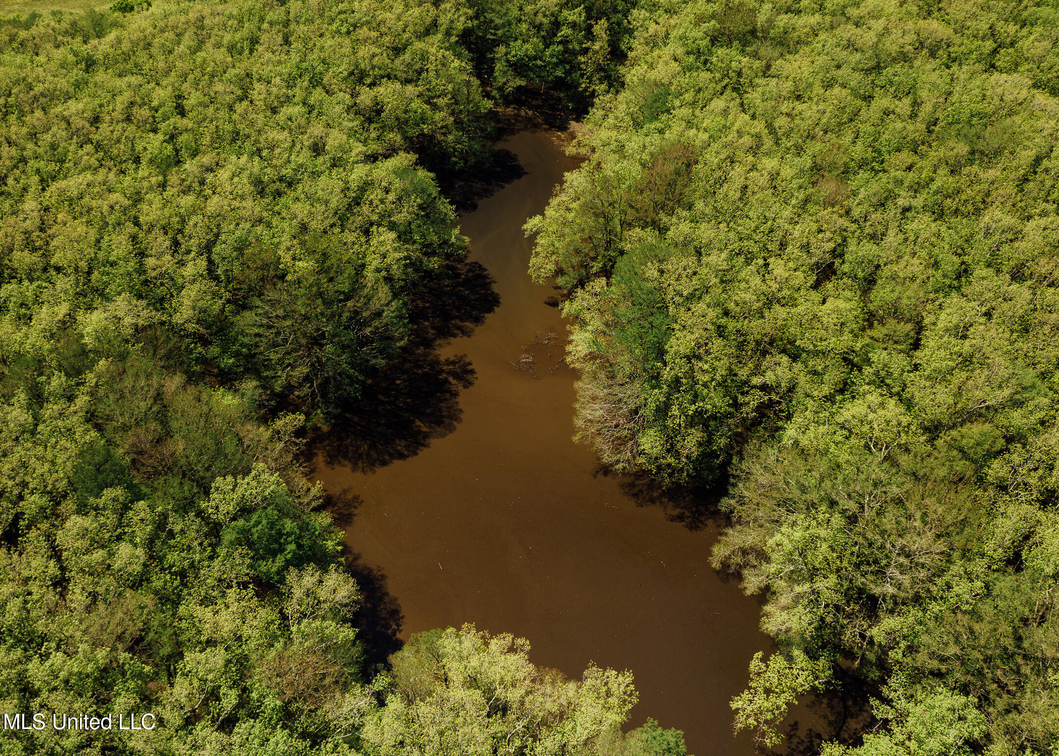 176 County Road Sidon, MS 38954 - Photo 11 of 59 200 Leflore Holly Grove Pics-6