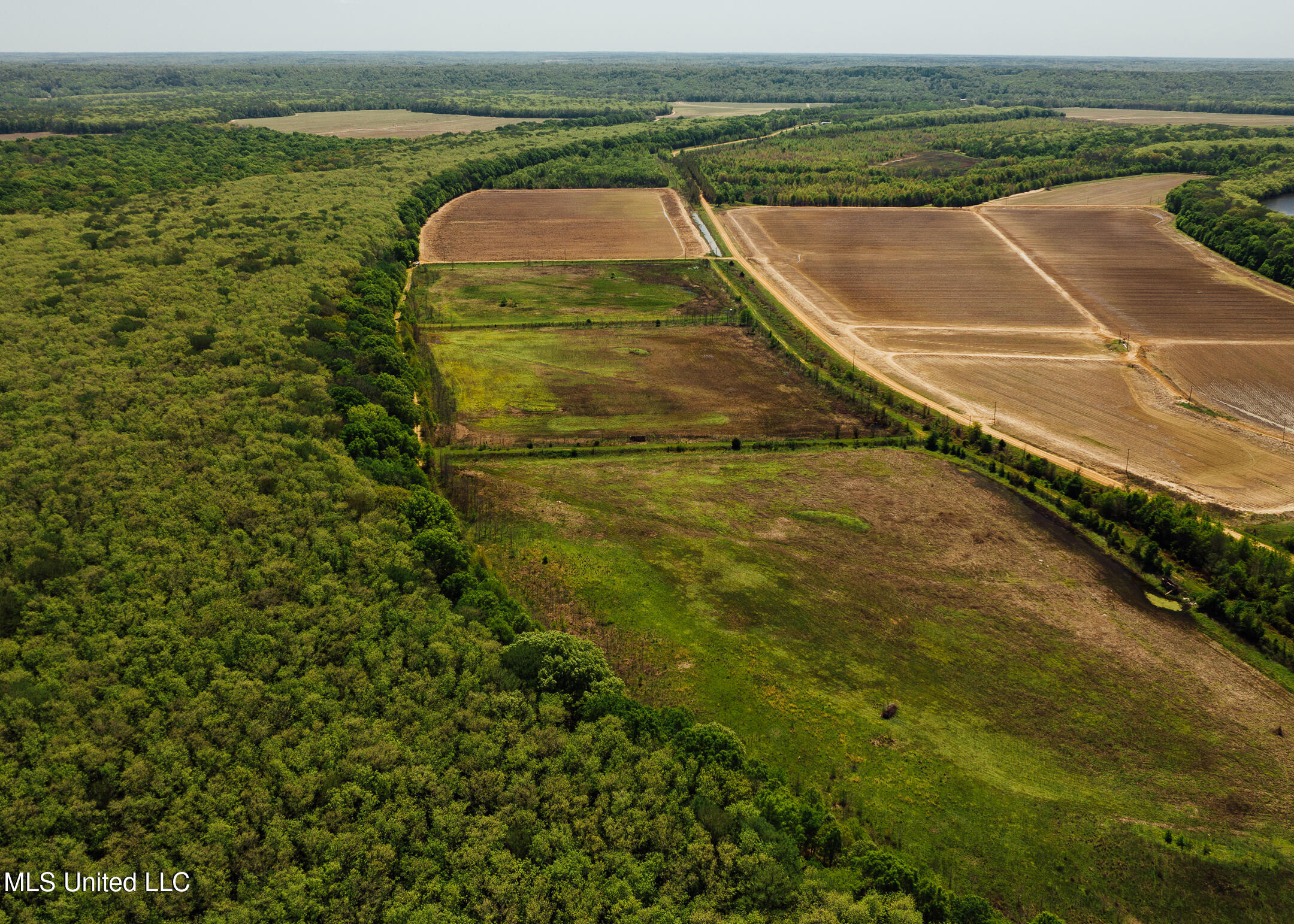 176 County Road Sidon, MS 38954 - Photo 13 of 59 200 Leflore Holly Grove Pics-8