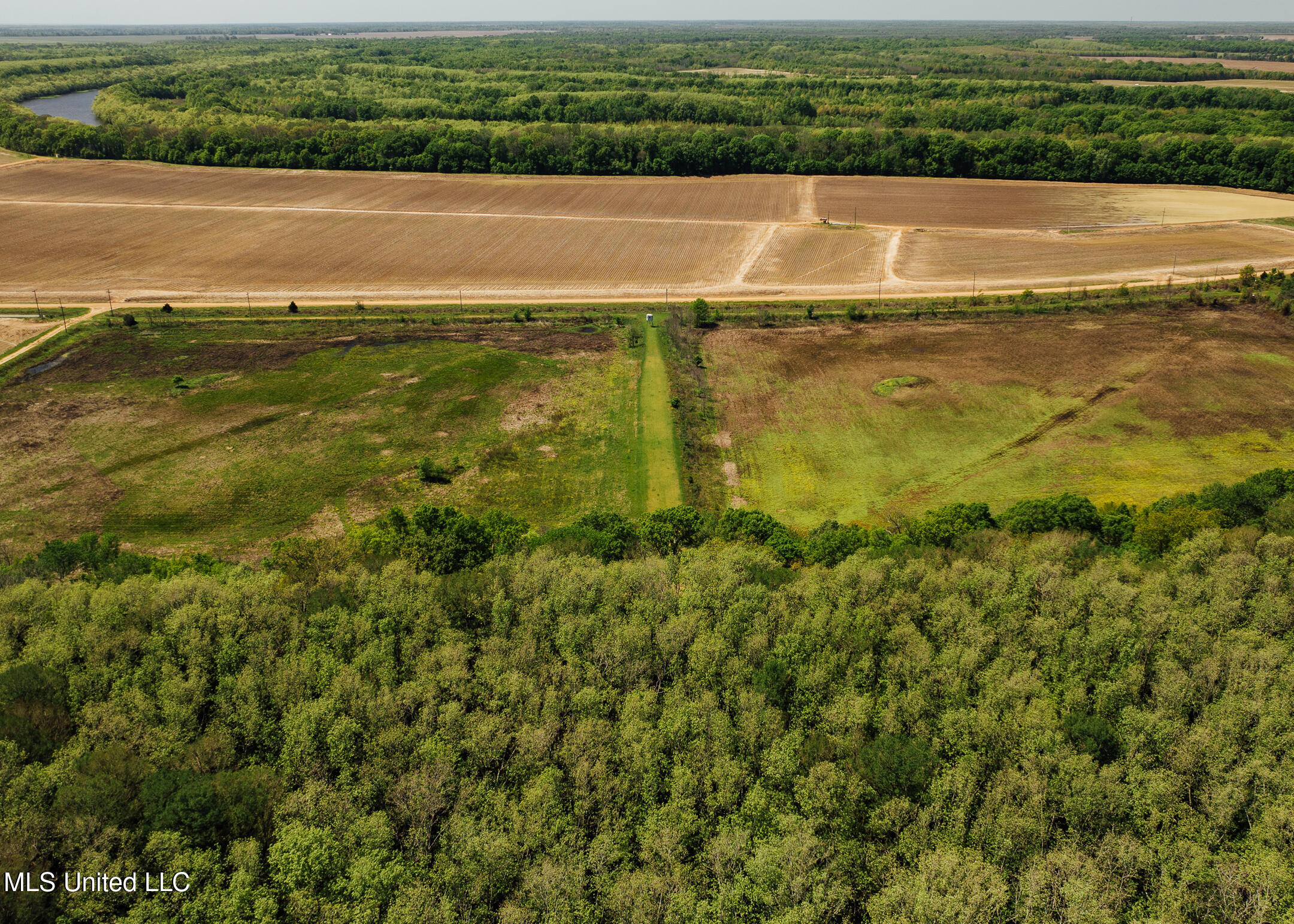 176 County Road Sidon, MS 38954 - Photo 14 of 59 200 Leflore Holly Grove Pics-4